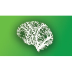 Recover from Anxiety, Depression & Insomnia naturally