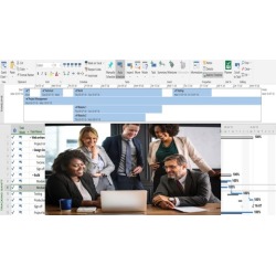 Software Project Management using MS Projects professional