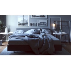 Vray Next Upgrade 3ds max