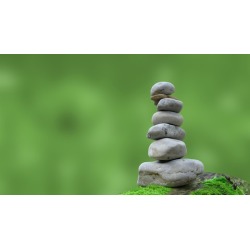 Vida Plena a Travs de Mindfulness Prctico
