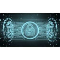 Introduction to Cyber Security and Information Security 2019