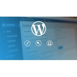Wordpress Development