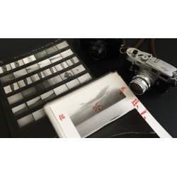 Analog Photography