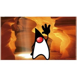 Java 1000: Professional Java for the New Software Developer