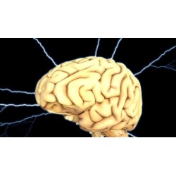Understanding Brain Injury