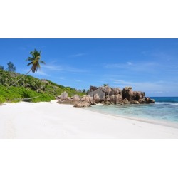 Travel Hacking and Maximizing Credit Card Rewards