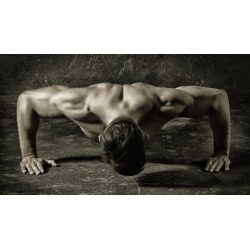 Bodyweight Bodybuilding Bible, Muscle Mass and Fat Loss