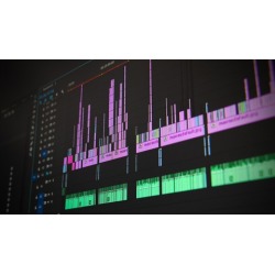Professional Video Editing