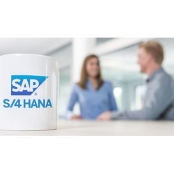 SAP S/4 HANA Enterprise Management