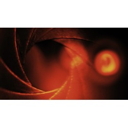 Anatomy of Digital Photography