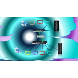 IGCSE-ICT Networks Explained