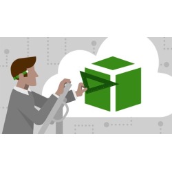 AWS Certified Solutions Architect - Professional practice