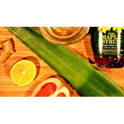 Elixir craft: Powerful nutrition