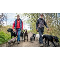 Dog Training For Humans - 'Worry Free Dog Walks'.