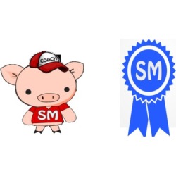 Certificao Scrum Master