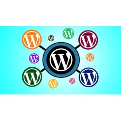 Create and Manage a Wordpress Multisite Network