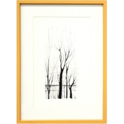 Tree Etching Giclee Print