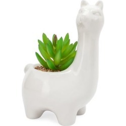 Plante succulente artificielle dans un pot de céramique en forme de lama Animal Garden