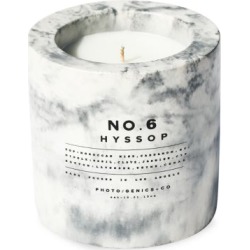 No.6 Hyssop Concrete Candle