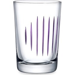 Nude Glass Parrot 2-Piece Tumbler Glass Set - Purple