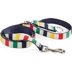 Multi Stripe Large Dog Leash