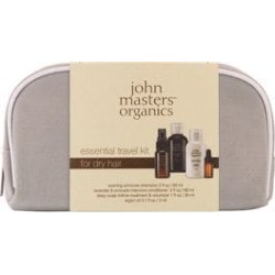 Ensemble de 4 produits de voyage essentiels pour cheveux secs