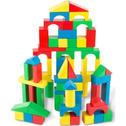 100 Wood Blocks Set