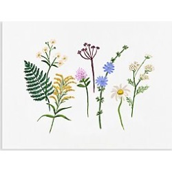 Rifle Paper Co Wild Flower Wall Art