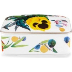 Primavera Lidded American Box