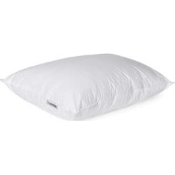 All Sleep Position Allergy Fresh Pillow