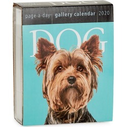 Dog Page A Day 2020 Calendar