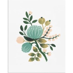 Botanical Art Print