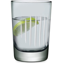 Nude Glass Parrot 2-Piece Tumbler Glass Set - Smoke