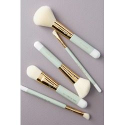 Bachca Paris Green Makeup Brush Collection Set