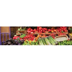 Italy Vegan Food Adventure