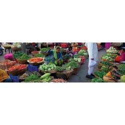 North & South India Real Food Adventure