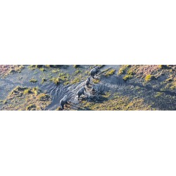 Okavango Experience