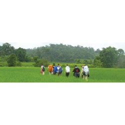 Hilltribe Experience