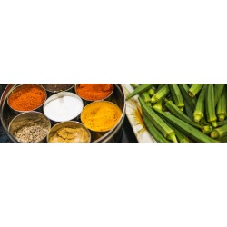 India Vegan Food Adventure