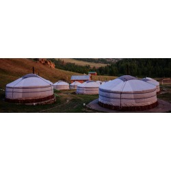 Trans-Mongolian Experience