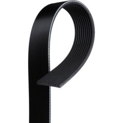 1990-1993 International 8100 Serpentine Belt Gates International Serpentine Belt K100572