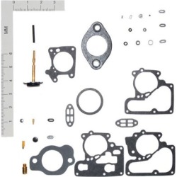 1983-1984 American Motors Eagle Carburetor Repair Kit Walker Products American Motors Carburetor Repair Kit 15789C