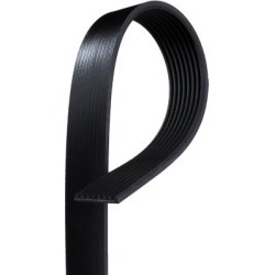 2002-2005 International 4400 Serpentine Belt Gates International Serpentine Belt K080685