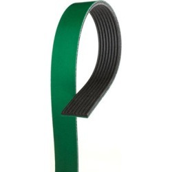 2002-2003 International 8100 Serpentine Belt Gates International Serpentine Belt K080859HD