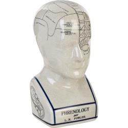 Phrenology 9" Ceramic Bust