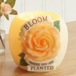 Bloom Where You Are Planted Votive Holder