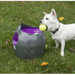 PetSafe Automatic Ball Launcher