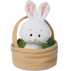 Honey Bunny In Basket
