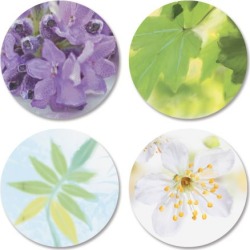 Feeling Your Loss Seals (4 Designs)
