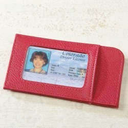 Raspberry Scan-Safe Card Case
